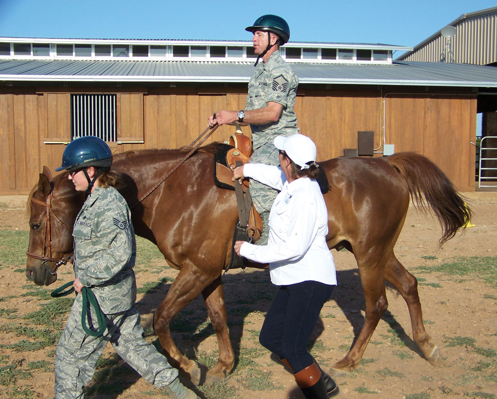 AT Horses for Healing.jpg